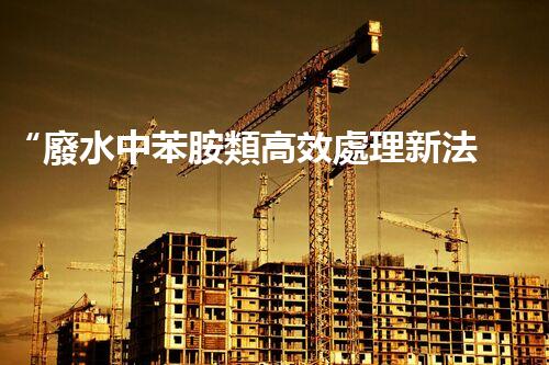 “廢水中苯胺類高效處理新法，環(huán)保先鋒引領(lǐng)綠色以后”